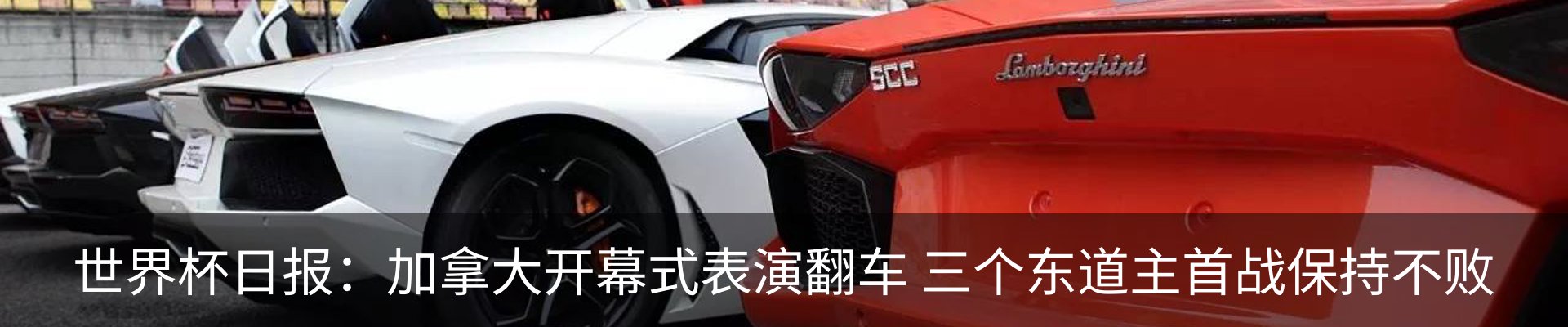最新动态