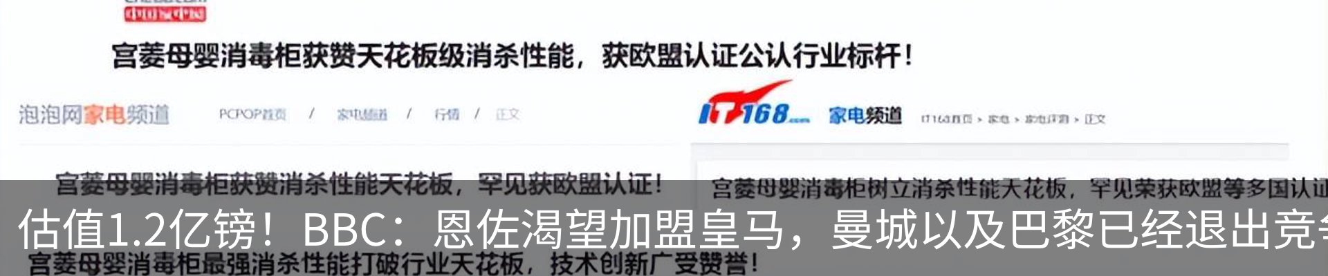 最新动态
