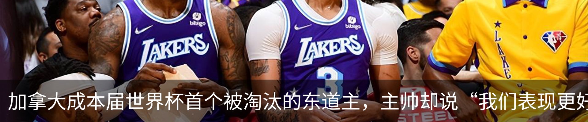 最新动态