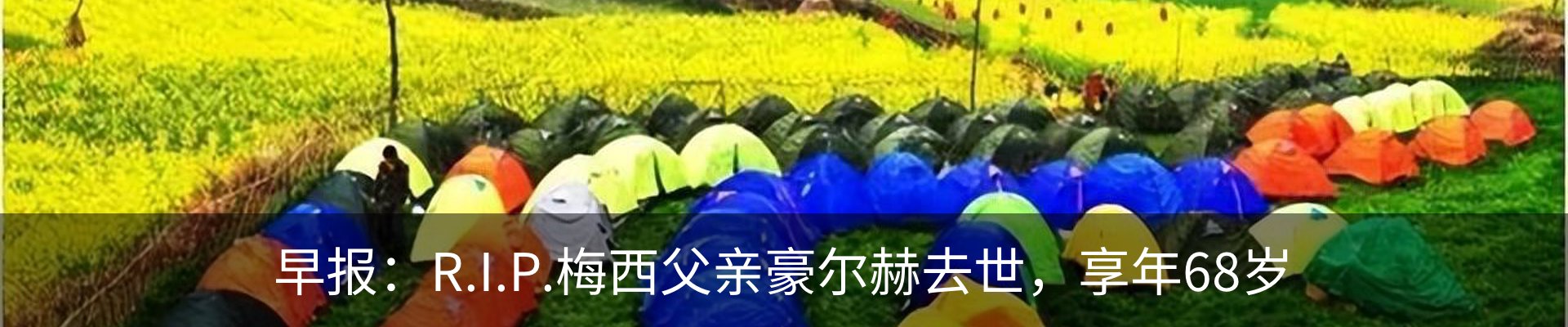 最新动态