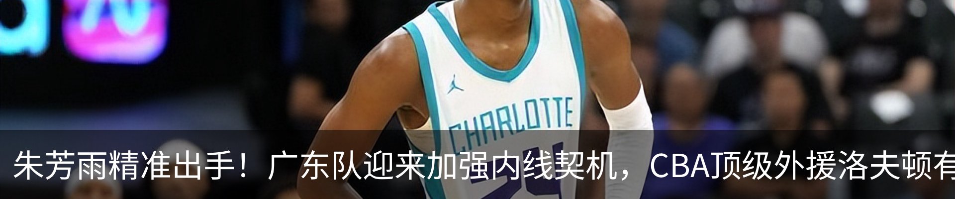 最新动态