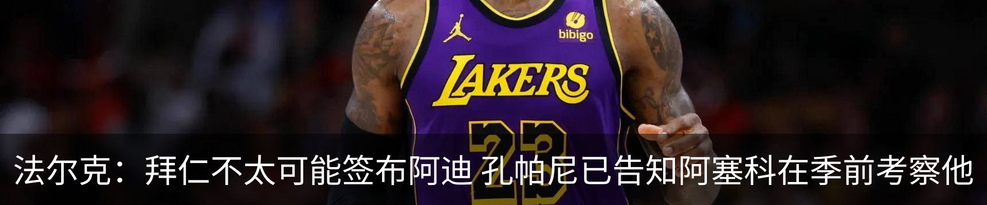 最新动态