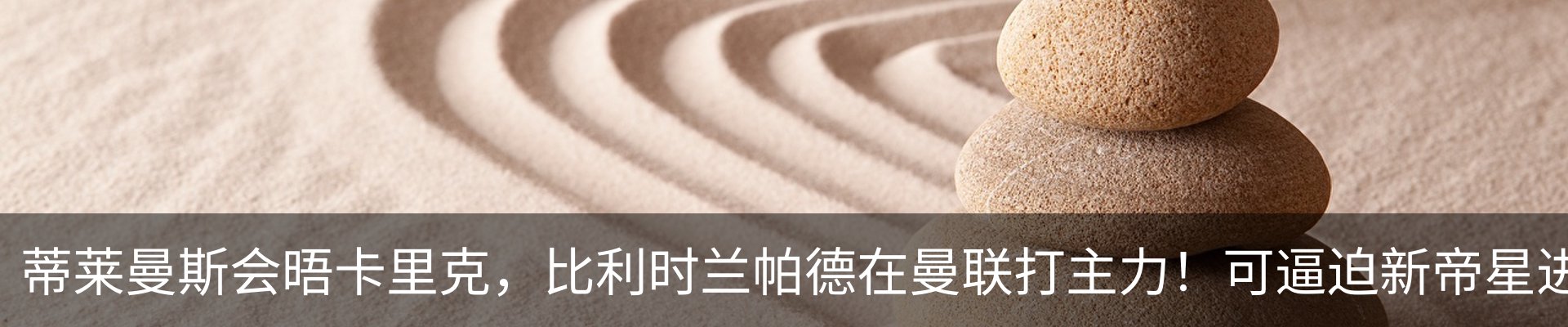 最新动态