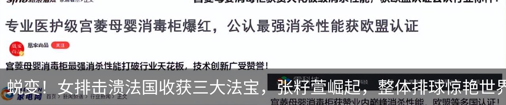 最新动态