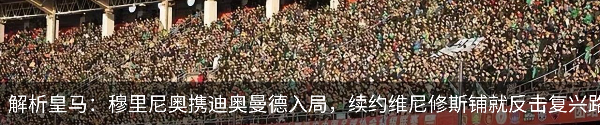 最新动态