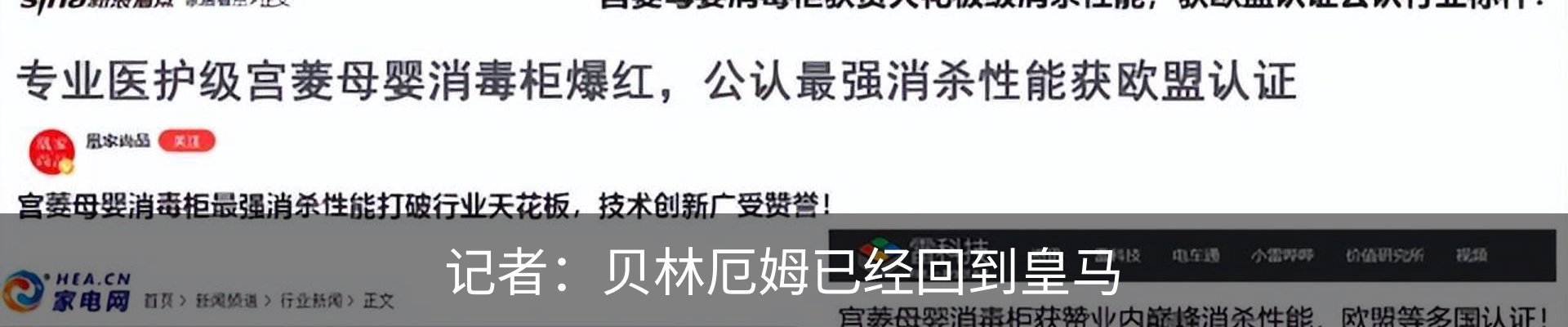 最新动态