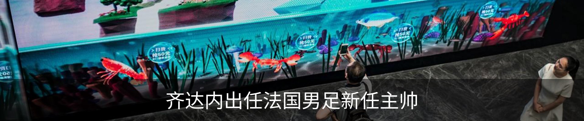 最新动态