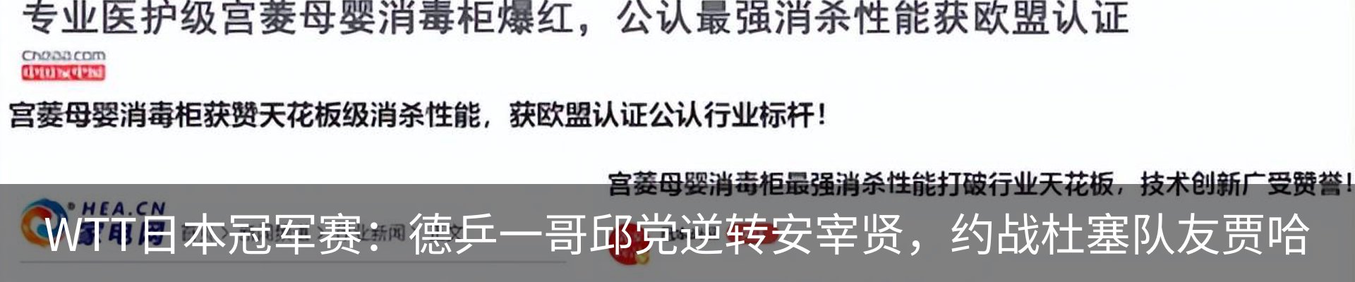 最新动态